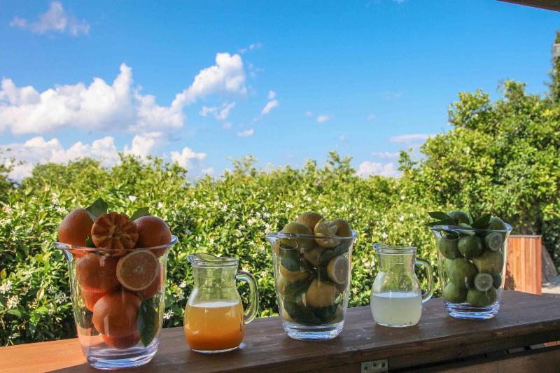 Agriturismo Galea Riposto Bagian luar foto