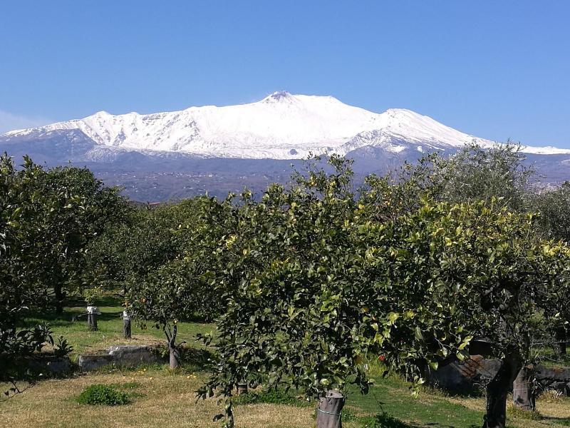 Agriturismo Galea Riposto Bagian luar foto